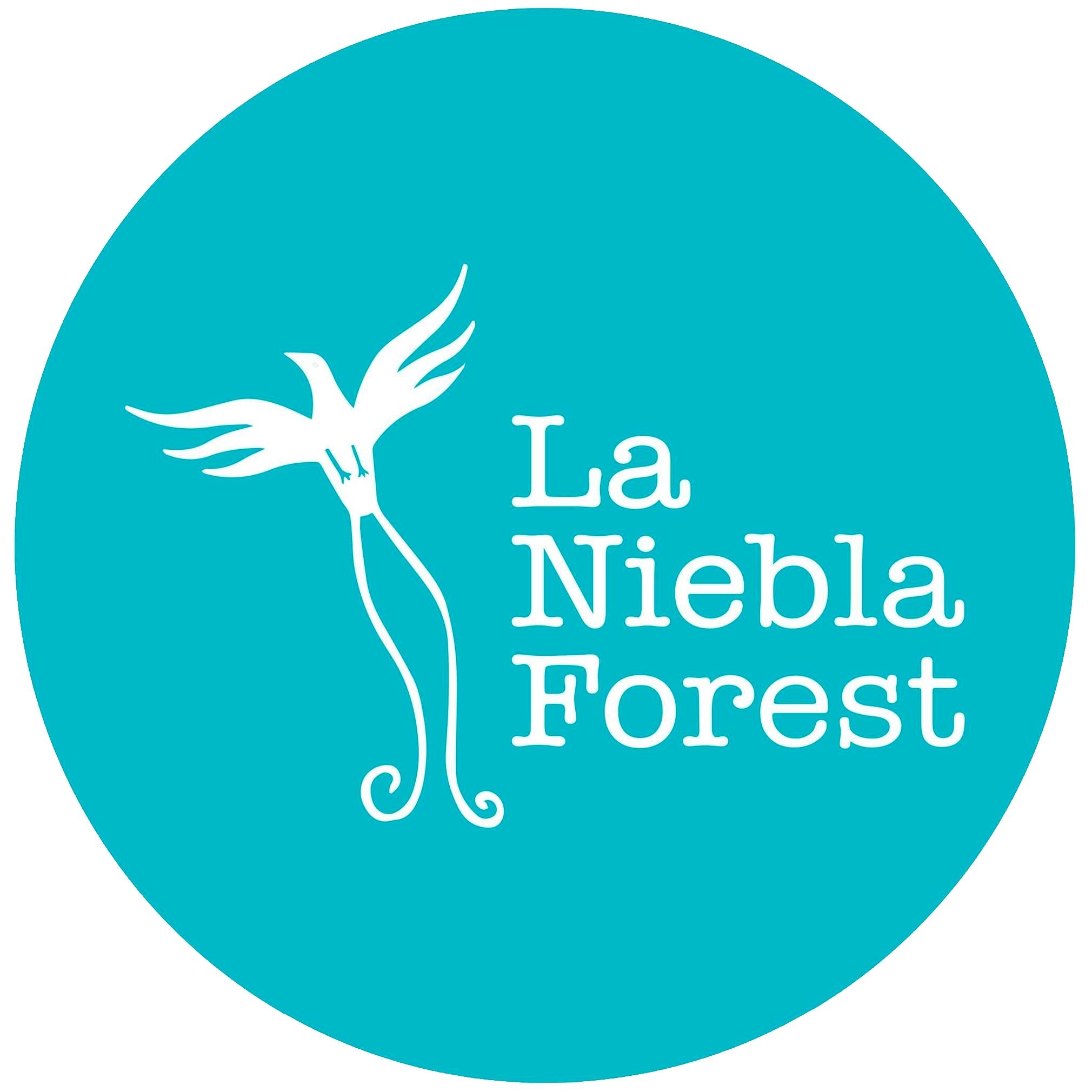 LNF Logo